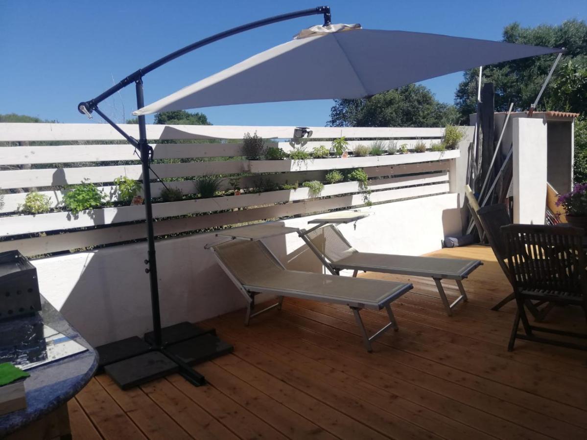 Flamingo Guest House- Gasthuis *